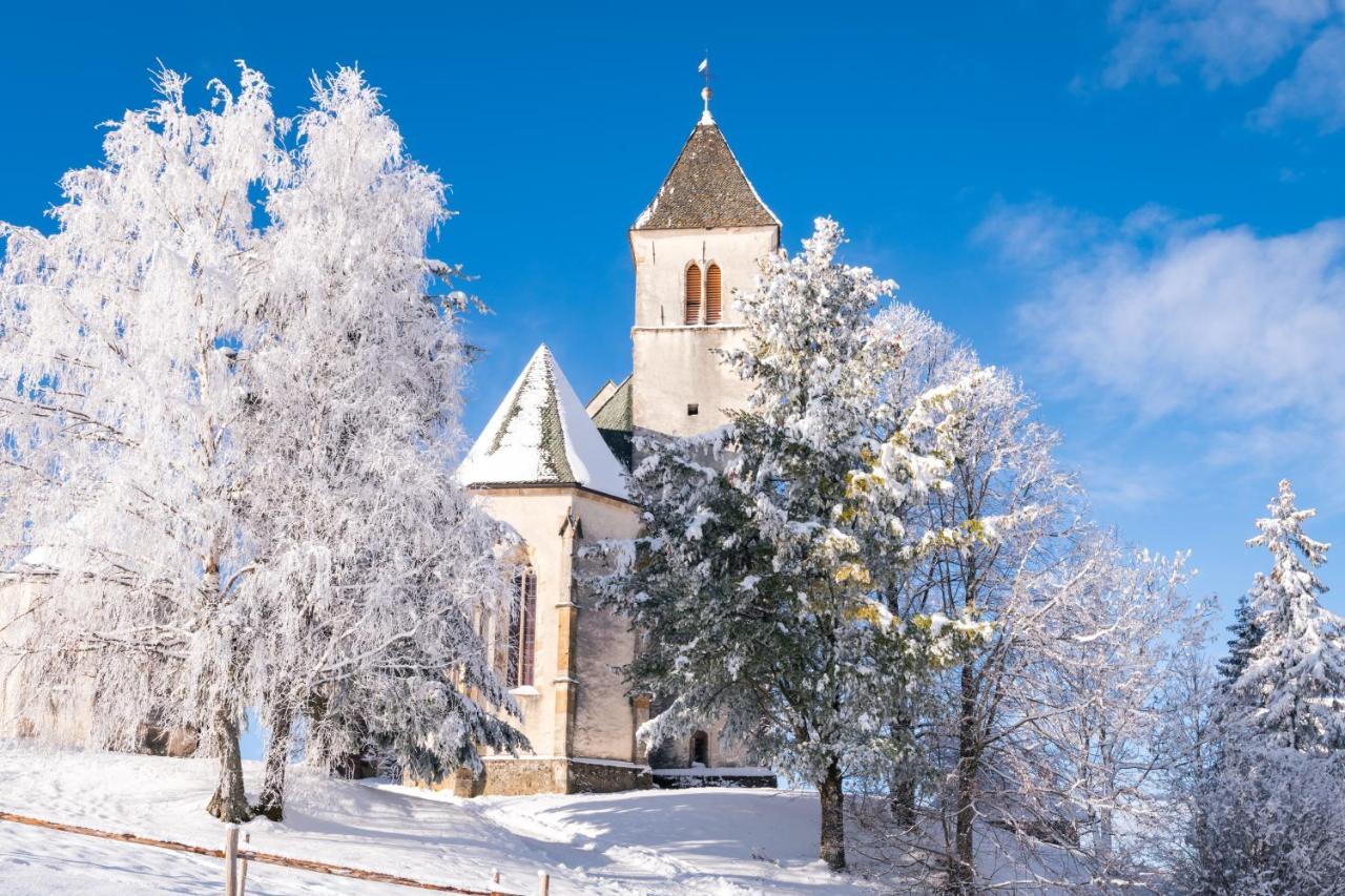 Готель Gipfelhaus Magdalensberg Занкт-Файт-ан-дер-Ґлан Екстер'єр фото