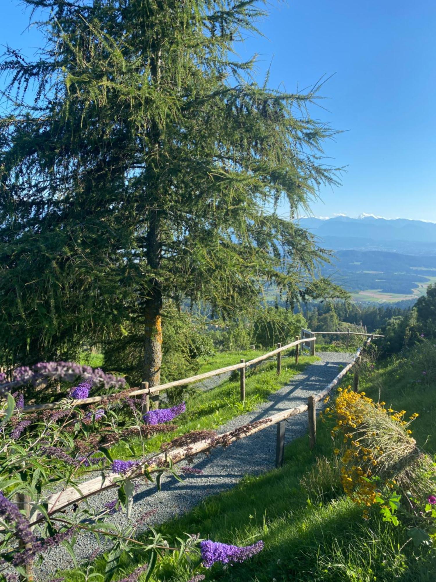 Готель Gipfelhaus Magdalensberg Занкт-Файт-ан-дер-Ґлан Екстер'єр фото